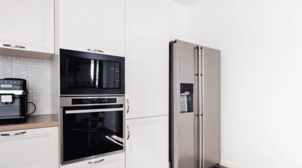 Which are the best kitchen appliances for your remodel?